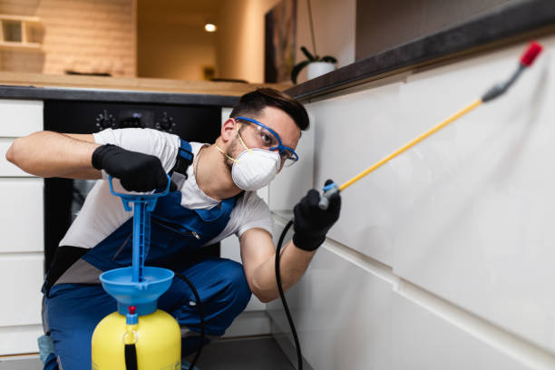 Best Cockroach Control Services  in Lake Dalecarlia, IN