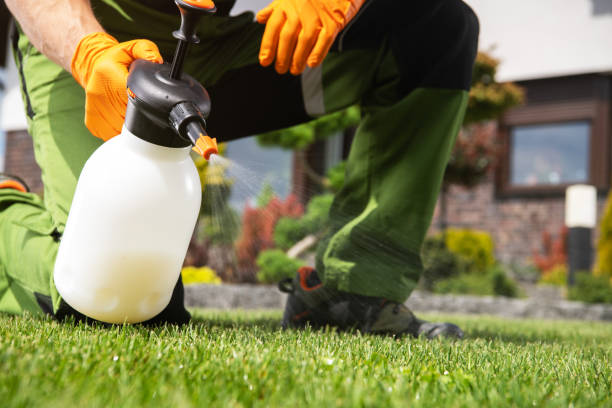 Best Residential Pest Control  in Lake Dalecarlia, IN