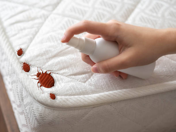 Best Bed Bug Extermination  in Lake Dalecarlia, IN