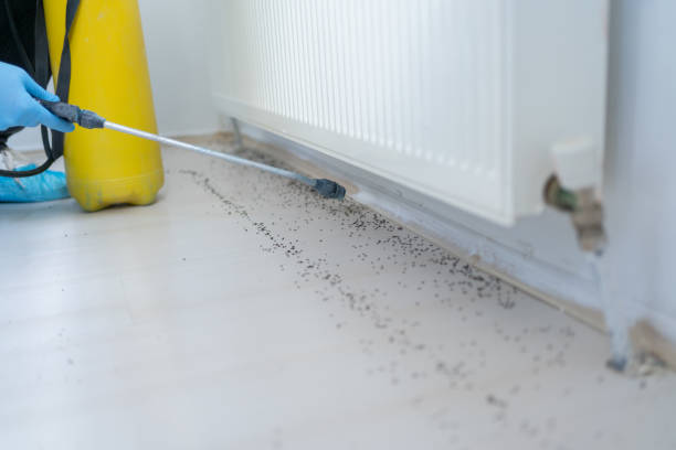Reliable Lake Dalecarlia, IN Pest Control Solutions