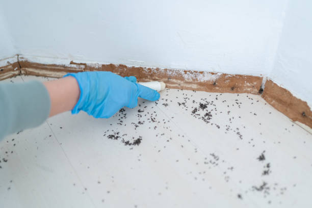 Best Termite Control Services  in Lake Dalecarlia, IN